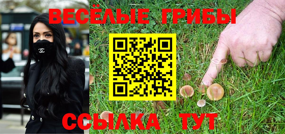Псилоцибиновые грибы MAGIC MUSHROOMS  Вход с VPN  Шелехов 